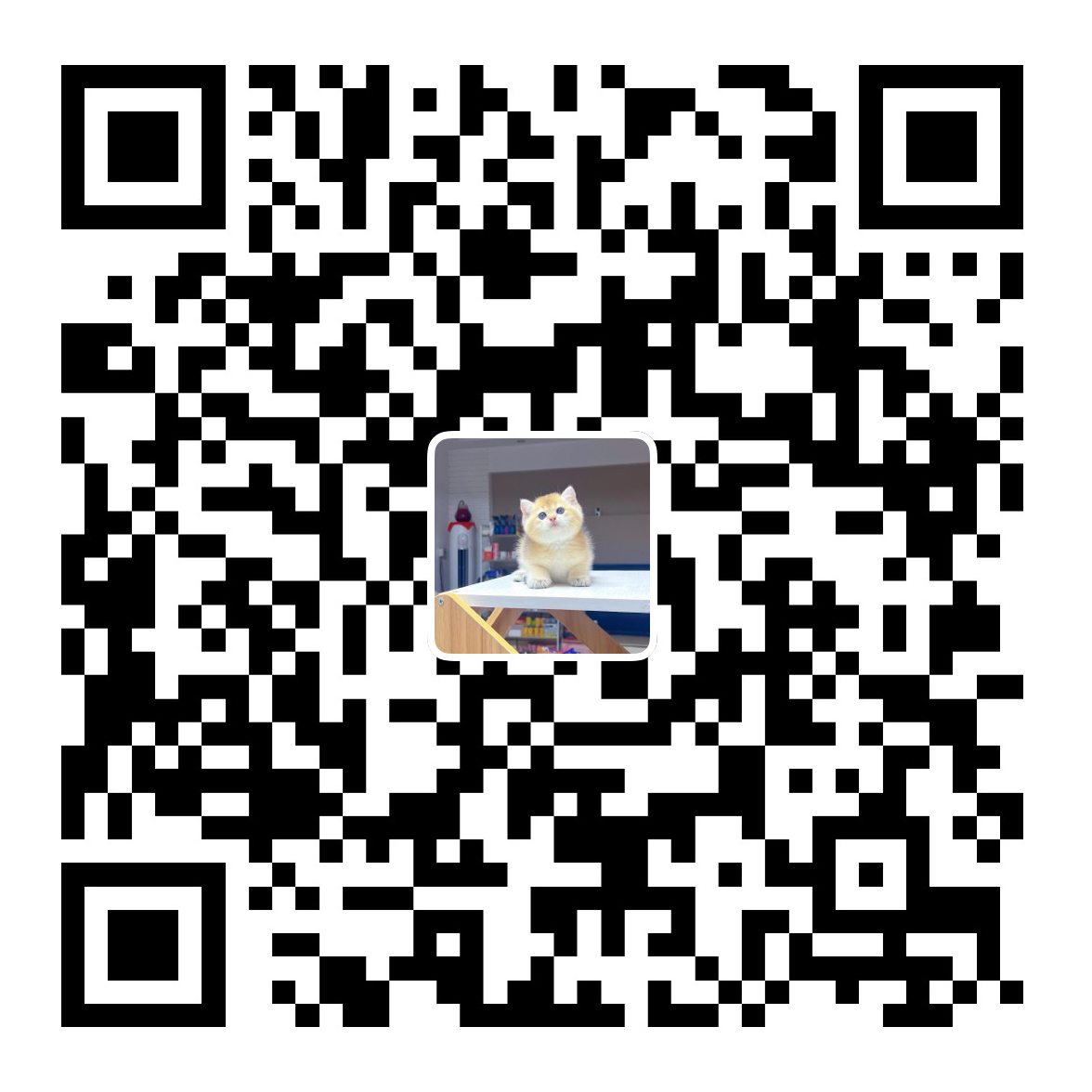 支付宝打赏二维码